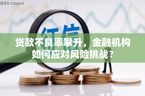 丰原贷款不良率攀升，金融机构如何应对风险挑战？