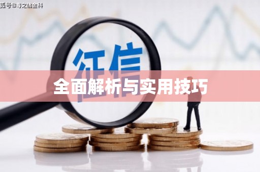 丰原全面解析与实用技巧