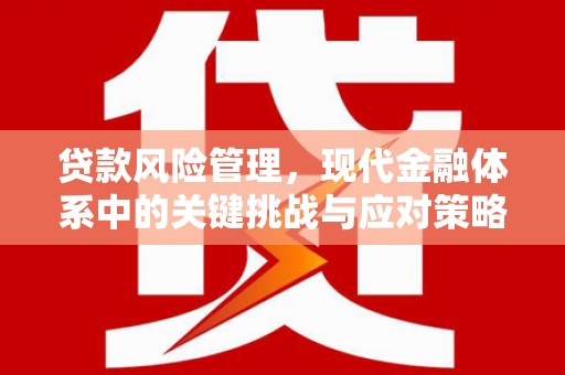 丰原贷款风险管理，现代金融体系中的关键挑战与应对策略