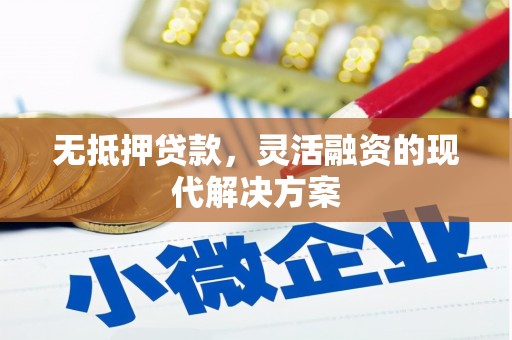 丰原无抵押贷款，灵活融资的现代解决方案