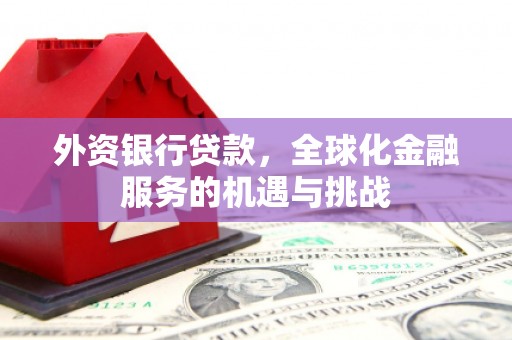 丰原外资银行贷款，全球化金融服务的机遇与挑战