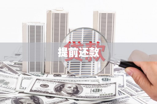 丰原提前还款