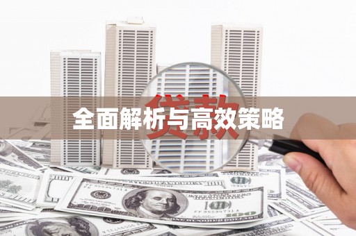 丰原全面解析与高效策略