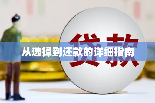 丰原从选择到还款的详细指南