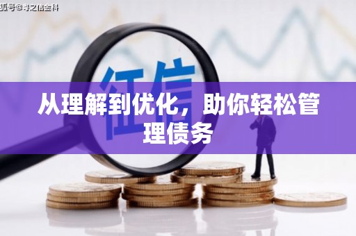 丰原从理解到优化，助你轻松管理债务