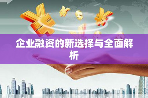 丰原企业融资的新选择与全面解析