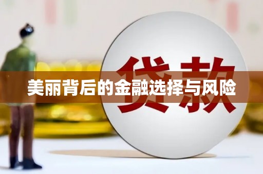 丰原美丽背后的金融选择与风险