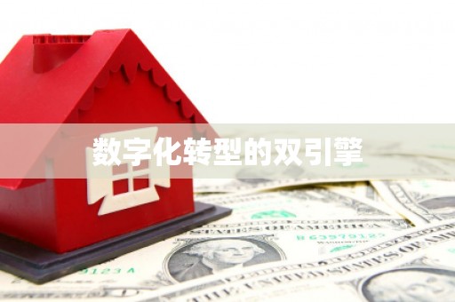 丰原数字化转型的双引擎