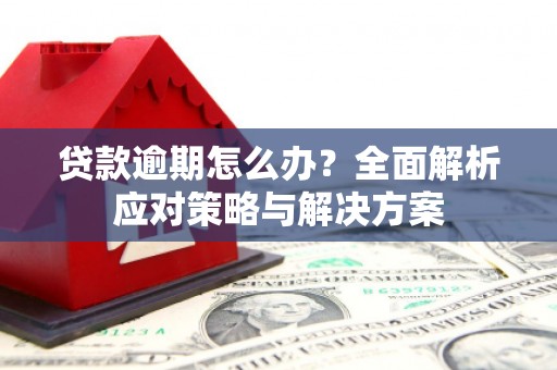 丰原贷款逾期怎么办？全面解析应对策略与解决方案