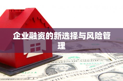 丰原企业融资的新选择与风险管理