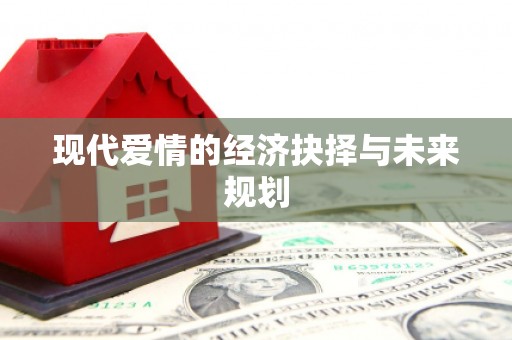 丰原现代爱情的经济抉择与未来规划