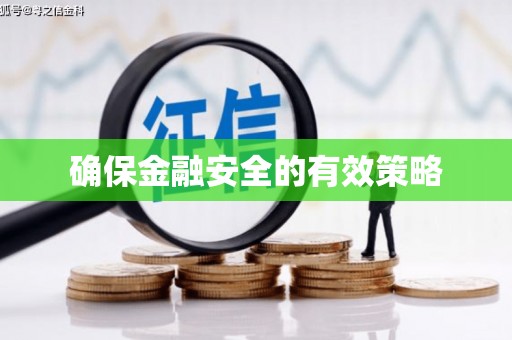 丰原确保金融安全的有效策略