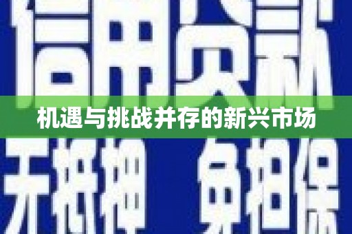 丰原机遇与挑战并存的新兴市场