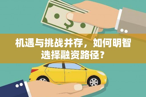 丰原机遇与挑战并存，如何明智选择融资路径？