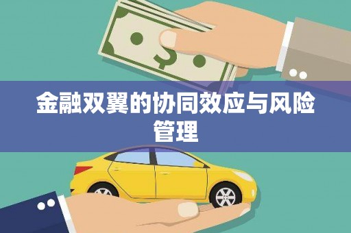 丰原金融双翼的协同效应与风险管理