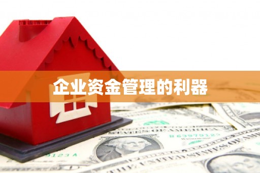 丰原企业资金管理的利器