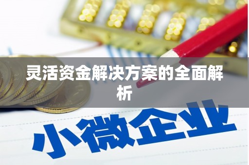丰原灵活资金解决方案的全面解析