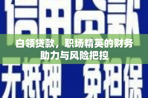 丰原白领贷款，职场精英的财务助力与风险把控